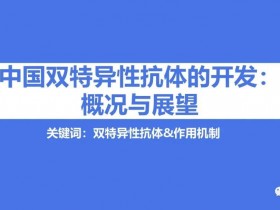 中国双特异性抗体的开发：概况与展望