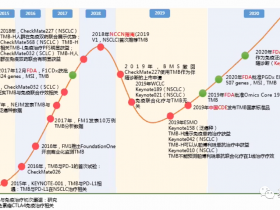 肿瘤NGS大panel检测的标准化及研究进展