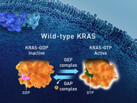 KRAS-G12C: NSCLC精准治疗另一场“越狱”
