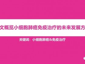 一文概览小细胞肺癌免疫治疗的未来发展方向