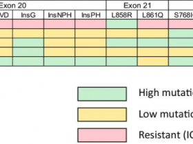 新药CLN-081(TAS6417)最新研究数据