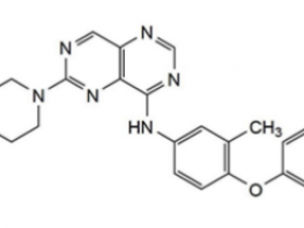 HER2新药Zongertinib