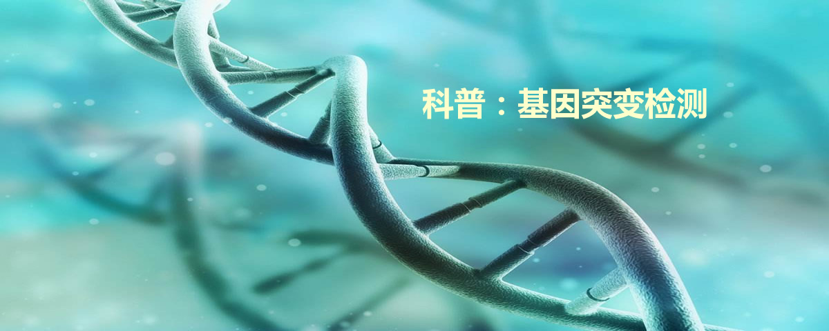 关于基因突变检测，其意义是什么？