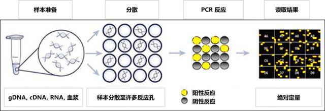 血浆EGFR/T790M基因突变检测标准流程