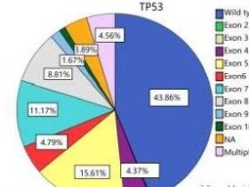 TP53基因突变怎么办？有什么靶向药？