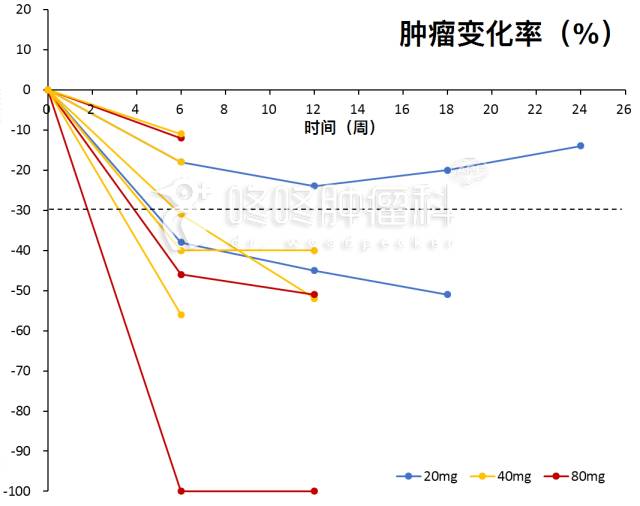 基因突变检测