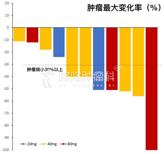 基因突变检测