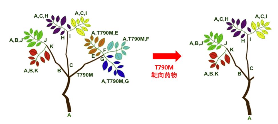 基因突变检测