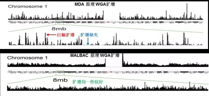基因突变检测 基因突变检测