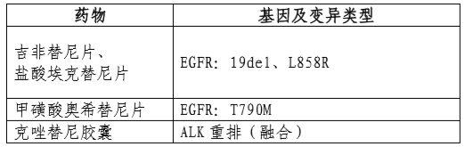 基因突变检测