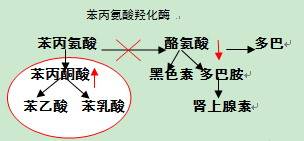 基因突变检测