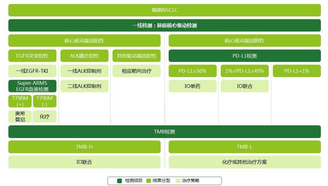 基因突变检测