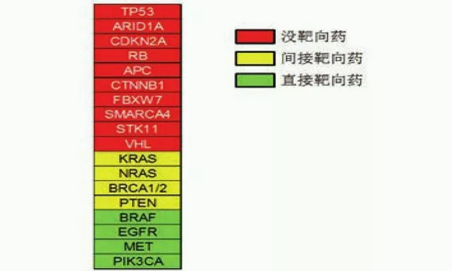 基因突变检测