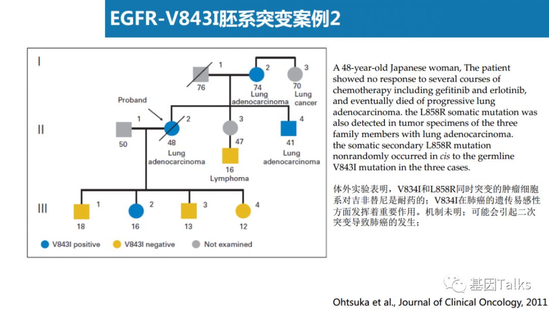 基因突变检测