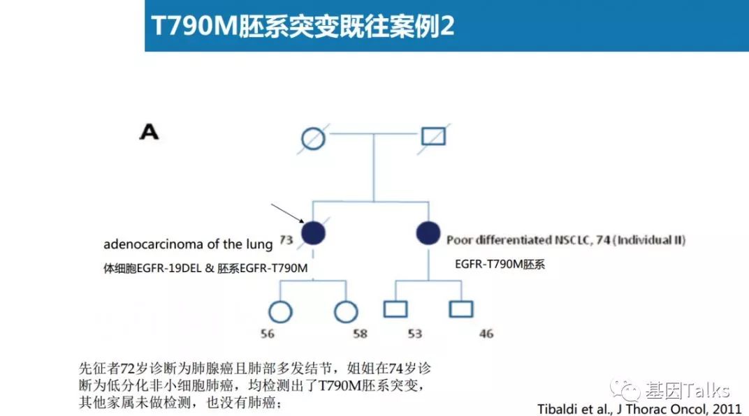 基因突变检测