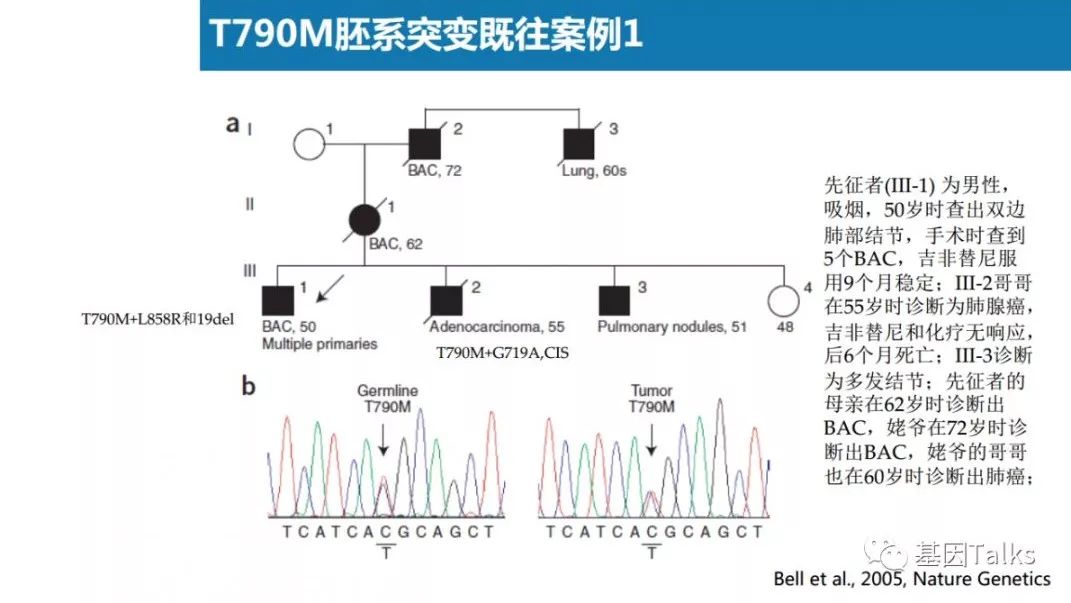 基因突变检测