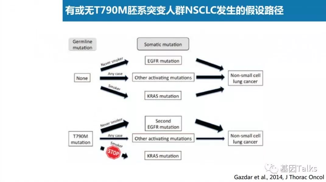 基因突变检测