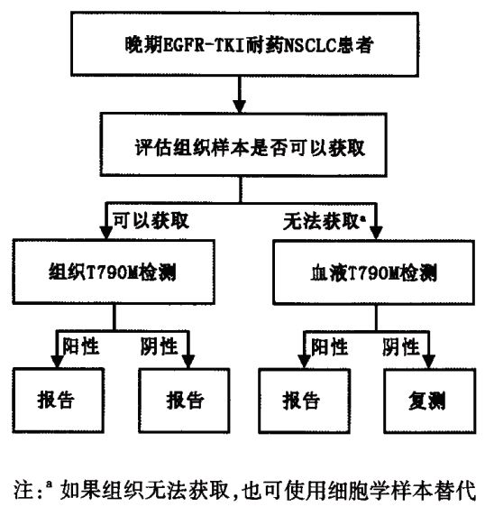 基因突变检测