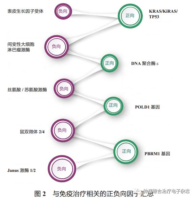 基因突变检测