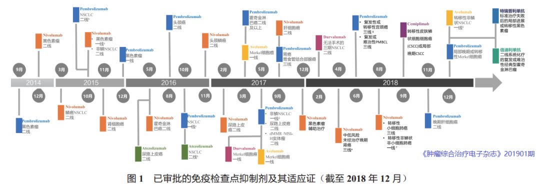 基因突变检测