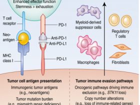 2019ASCO ：PBRM1基因缺失与肿瘤应答的相关性