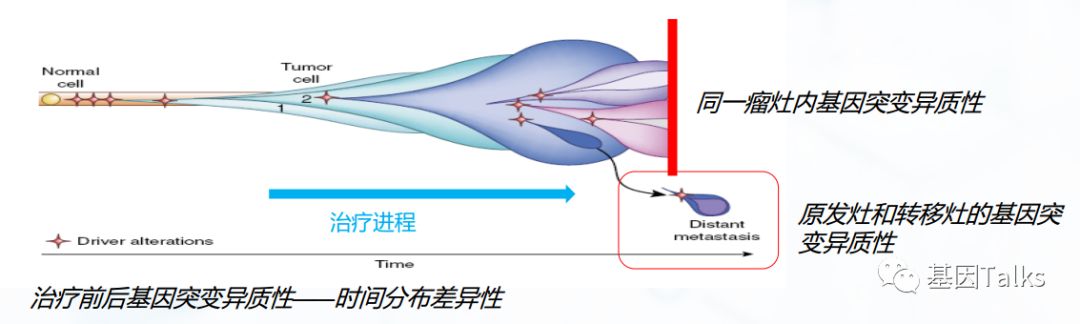 基因突变检测