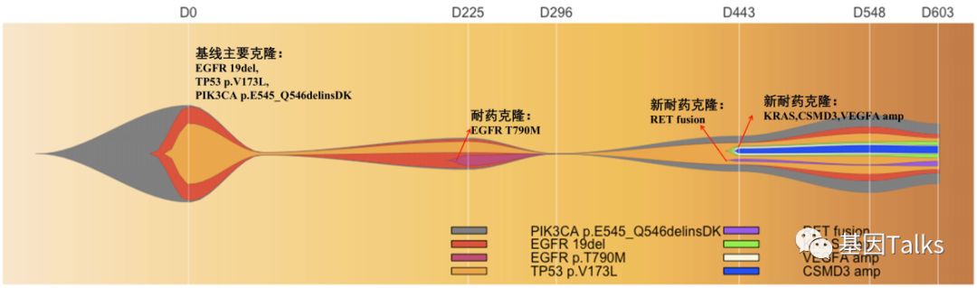 基因突变检测