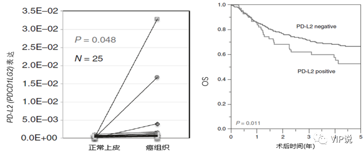 PD-L2对免疫治疗的意义？