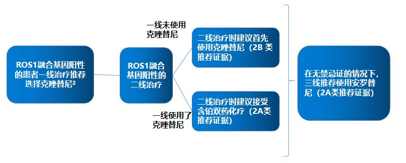 2020肺癌靶向治疗图解