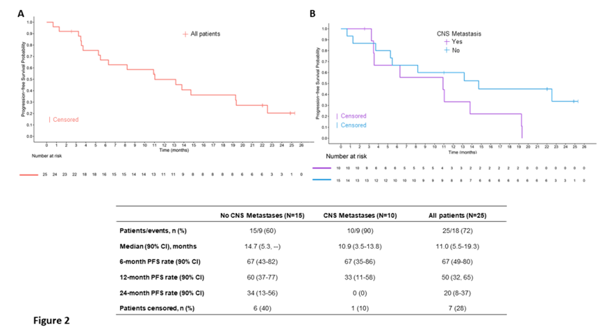 奥希替尼联合抗血管生成单抗治疗EGFR T790M阳性晚期NSCLC