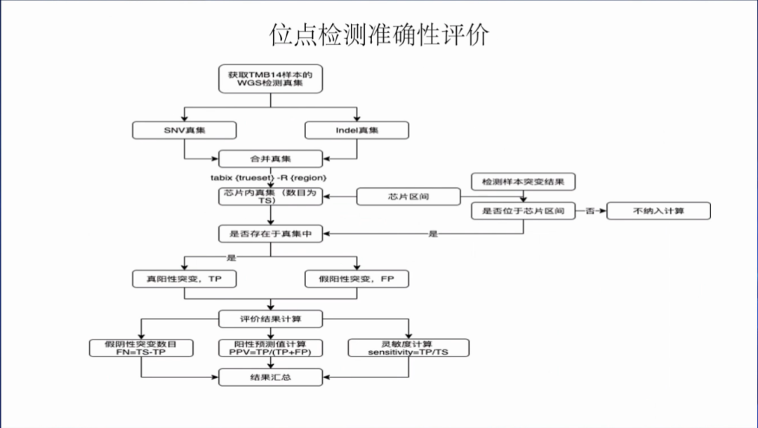 肿瘤NGS大panel检测的标准化及研究进展