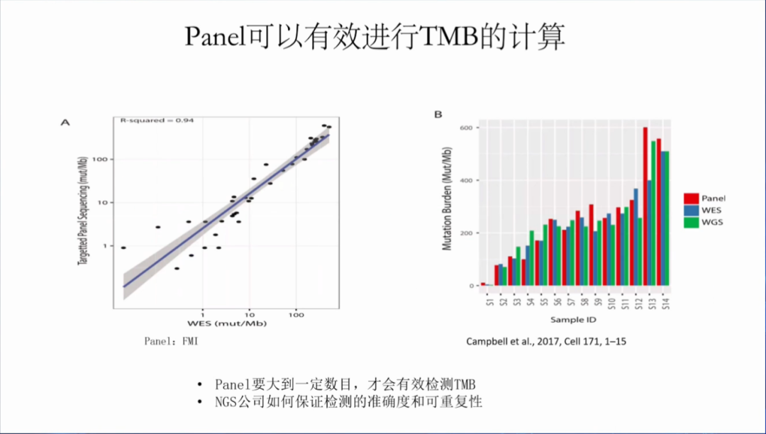 肿瘤NGS大panel检测的标准化及研究进展