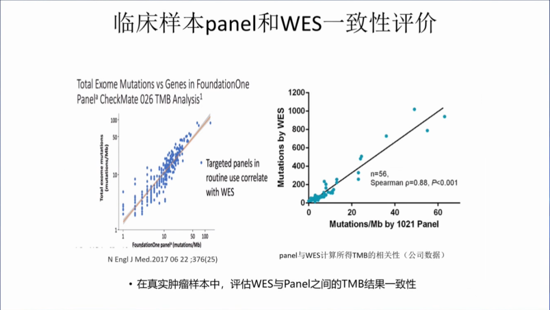 肿瘤NGS大panel检测的标准化及研究进展