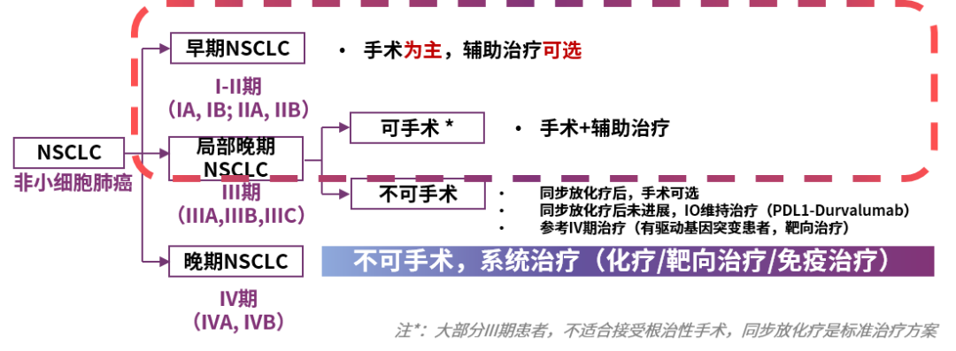 肺癌靶向基因检测扫盲贴