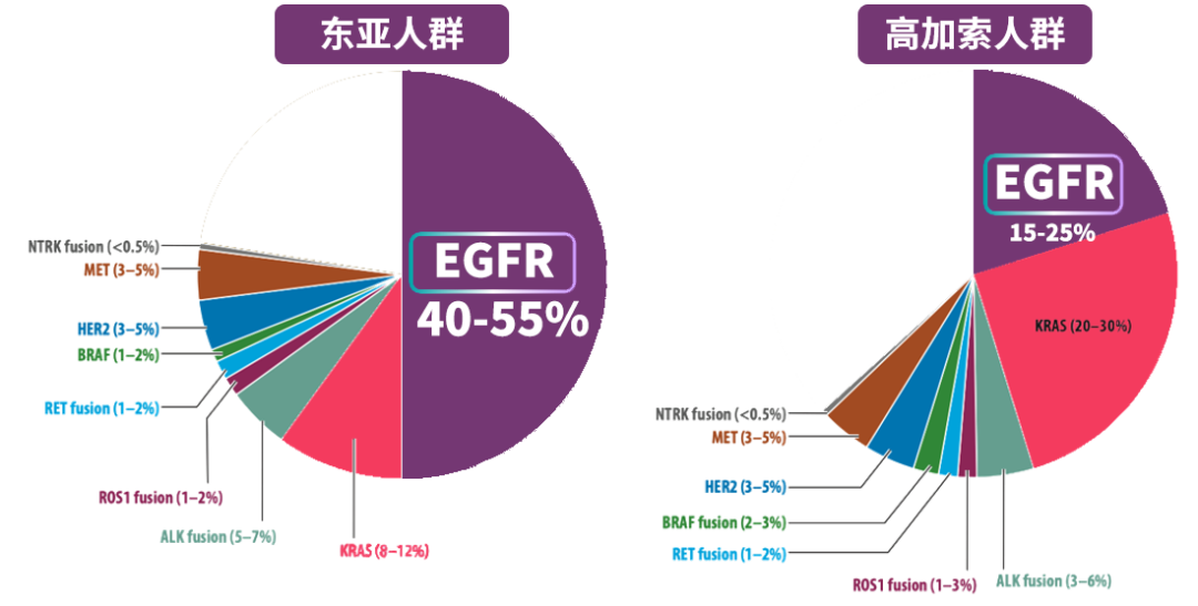 肺癌靶向基因检测扫盲贴