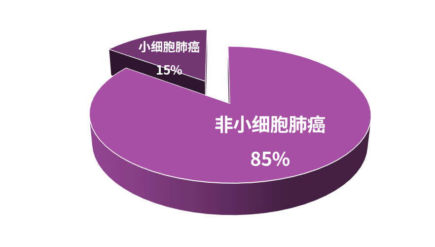 肺癌靶向基因检测扫盲贴