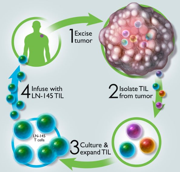 TIL疗法|LN-145二期研究初步结果