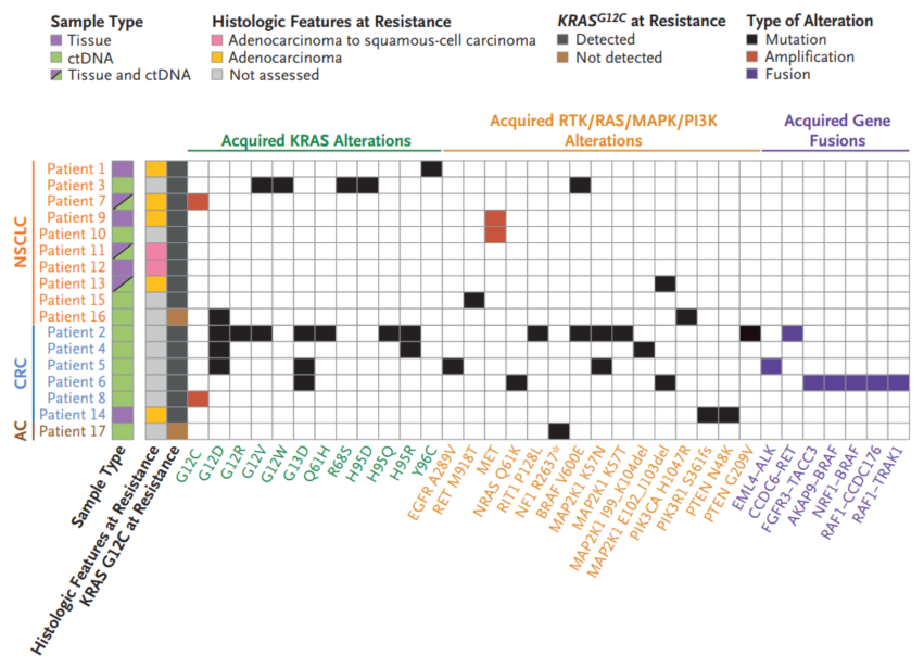 KRAS G12C抑制剂的获得性耐药机制！