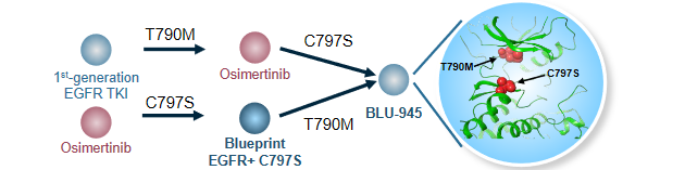 EGFR四代药BLU-945最新研究结果