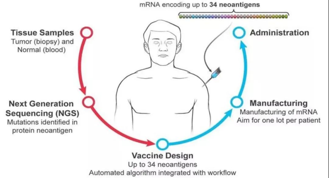 “癌症疫苗”2030年前可能上市？前世今生、技术突破、抗原选择、市场前景